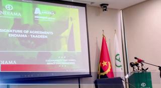 Prévia do primeiro vídeo